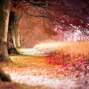 Meet your Posher, Caely